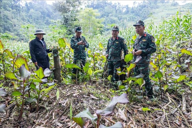 Đội tổ chức khảo sát, xác minh thông tin được ông Vàng Thìn Hoà (thôn Hoàng Lỳ Phả, xã Minh Tân) cung cấp về vị trí nấm - nghi mộ liệt sĩ hy sinh trong cuộc chiến đấu bảo vệ biên giới phía Bắc. Ảnh: Hoàng Hiếu - TTXVN
