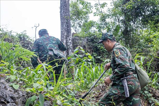 Dù địa hình, địa vật đã thay đổi nhiều sau năm tháng, nhưng khi có thông tin cần xác minh, thành viên đội lại khảo sát thực địa, tìm kiếm manh mối về liệt sĩ với sự tận tâm, trách nhiệm mong sớm đưa đồng đội về với gia đình. Ảnh: Hoàng Hiếu - TTXVN