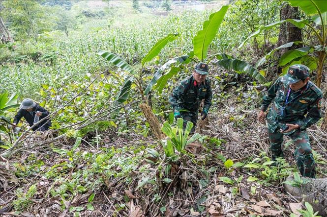 Đội tổ chức khảo sát, xác minh thông tin được ông Vàng Thìn Hoà (thôn Hoàng Lỳ Phả, xã Minh Tân) cung cấp về vị trí nấm - nghi mộ liệt sĩ hy sinh trong cuộc chiến đấu bảo vệ biên giới phía Bắc. Ảnh: Hoàng Hiếu - TTXVN