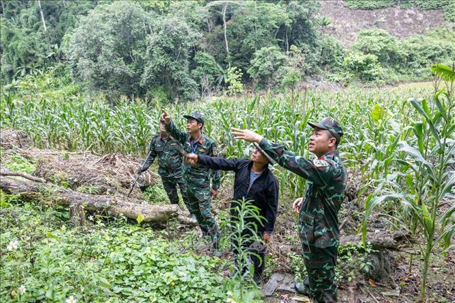 Với mọi thông tin về liệt sĩ được cung cấp dù là nhỏ nhất, đơn vị đều tiếp nhận, khẩn trương xác minh, làm rõ manh mối liên quan. Ảnh: Hoàng Hiếu - TTXVN