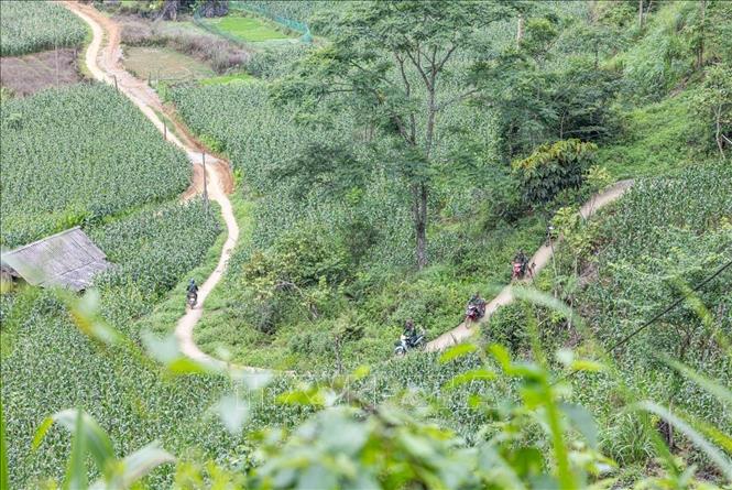 Vượt qua mọi khó khăn, mỗi khi tiếp nhận thông tin liệt sĩ, Đội đều tổ chức nghiên cứu, đối chiếu, xác minh, làm rõ các manh mối liên quan đến liệt sĩ. Ảnh: Hoàng Hiếu - TTXVN