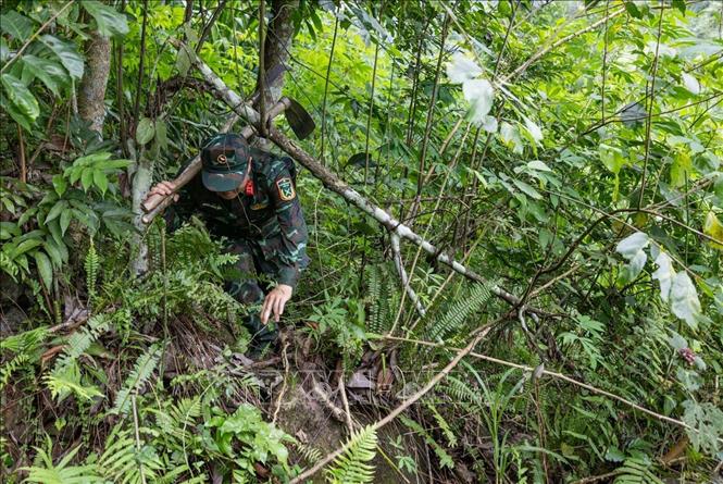 Dù khó khăn, vất vả, nhưng khi có thông tin cần xác minh, thành viên đội vượt qua mọi địa hình, tổ chức khảo sát địa hình, tìm kiếm manh mối với tận tâm, trách nhiệm mong sớm đưa  các liệt sĩ về gia đình. Ảnh: Hoàng Hiếu - TTXVN