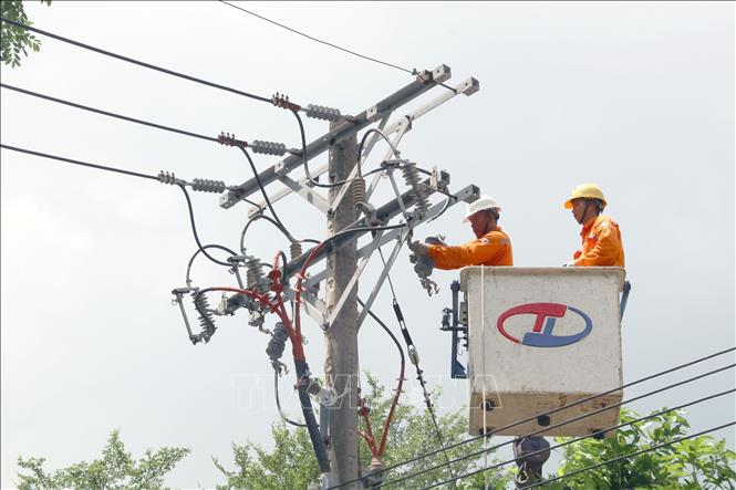 Nhân viên Điện lực Côn Đảo thực hiện các công tác duy tu, bảo dưỡng và sửa chữa đường dây lưới điện trên đảo. Ảnh: Thanh Vũ – TTXVN