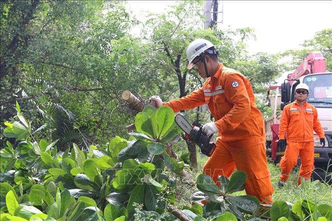 Các nhân viên Công ty Điện lực Duyên Hải cắt tỉa, giải tỏa hành lang an toàn lưới điện nhằm phòng ngừa sự cố chập cháy, đứt dây điện do cây xanh gãy đổ trong mùa mưa bão. Ảnh: Thanh Vũ – TTXVN