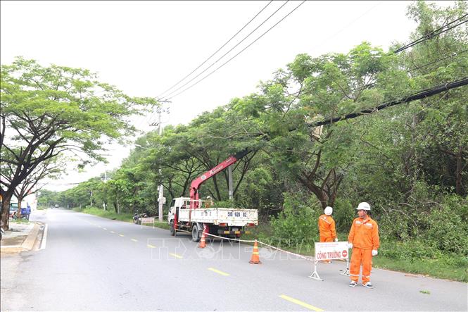Các nhân viên Công ty Điện lực Duyên Hải cắt tỉa, giải tỏa hành lang an toàn lưới điện nhằm phòng ngừa sự cố chập cháy, đứt dây điện do cây xanh gãy đổ trong mùa mưa bão. Ảnh: Thanh Vũ – TTXVN