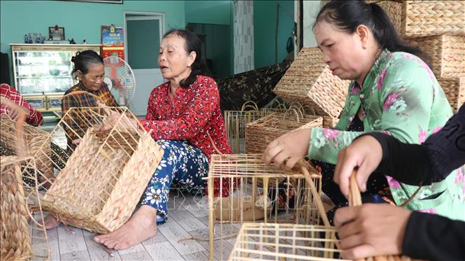 Tổ hợp tác đan lục bình ấp Thạnh Quới 1, xã Hỏa Lựu, thành phố Cần Thơ, tạo việc làm cho khoảng 200 lao động nữ. Ảnh: Nguyễn Hằng - TTXVN