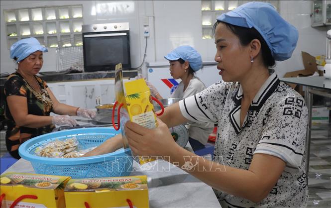 Các cơ sở, tổ hợp tác do phụ nữ làm chủ dần khẳng định vị thế. Ảnh: Nguyễn Hằng - TTXVN