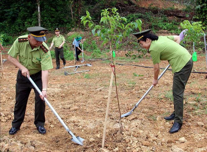 Đại các các địa phương, đơn vị tham gia trồng cây hưởng ứng Ngày Thế giới chống sa mạc hóa và hạn hán năm 2026 tại xã Tuấn Sơn (Lạng Sơn). Ảnh: Văn Đạt - TTXVN