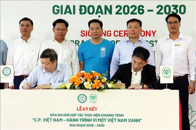 Đại diện Cục Lâm nghiệp và Kiểm lâm cùng Công ty Cổ phần Chăn nuôi C.P. Việt Nam ký kết Bản ghi nhớ hợp tác triển khai Chương trình “C.P. Việt Nam - Hành trình vì một Việt Nam xanh” giai đoạn 2026 - 2030. Ảnh: Văn Đạt - TTXVN
