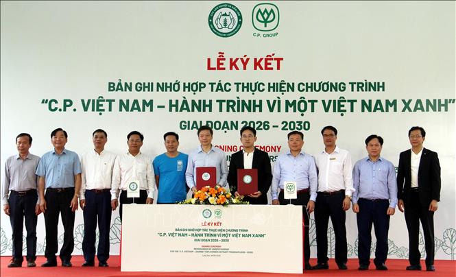 Đại diện Cục Lâm nghiệp và Kiểm lâm cùng Công ty Cổ phần Chăn nuôi C.P. Việt Nam ký kết Bản ghi nhớ hợp tác triển khai Chương trình “C.P. Việt Nam - Hành trình vì một Việt Nam xanh” giai đoạn 2026 - 2030. Ảnh: Văn Đạt - TTXVN