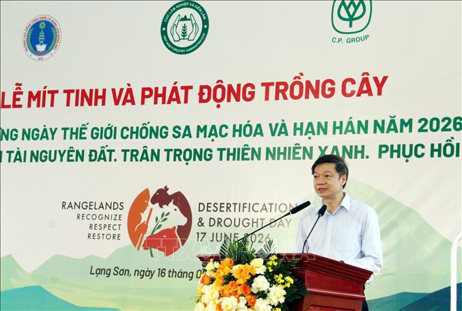Ông Trần Quang Bảo, Cục trưởng Cục Lâm nghiệp và Kiểm lâm, nhấn mạnh phòng chống sa mạc hóa phải được nhìn nhận như một nội dung cốt lõi của an ninh quốc gia. Ảnh: Văn Đạt - TTXVN