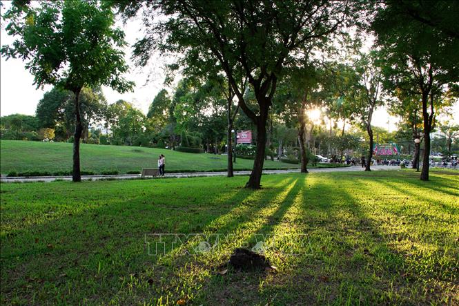Một góc công viên Văn Miếu (phường Cao Lãnh), tạo mảng xanh giữa lòng đô thị. Ảnh: Hồng Thái - TTXVN