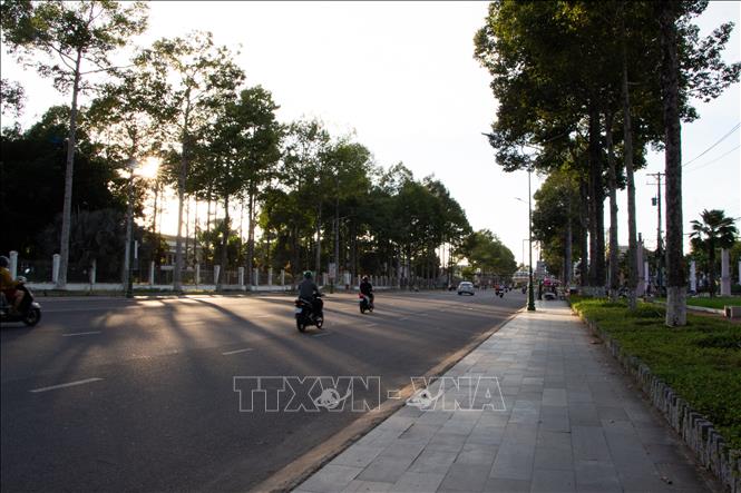 Cây xanh đô thị trên tuyến đường Lý Thường Kiệt (phường Cao Lãnh). Ảnh: Hồng Thái - TTXVN