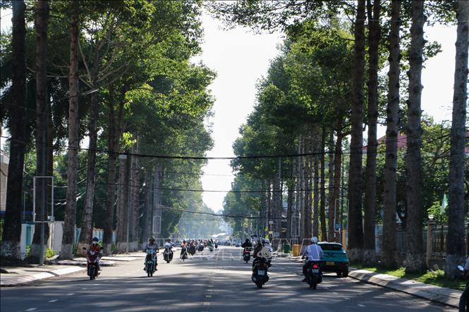 Người dân di chuyển dưới tán cây trên tuyến đường Võ Trường Toản (phường Cao Lãnh). Ảnh: Hồng Thái - TTXVN