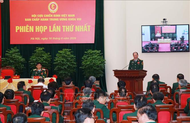Phiên họp thứ Nhất Ban Chấp hành Trung ương Hội khóa VIII. Ảnh: Trọng Đức - TTXVN