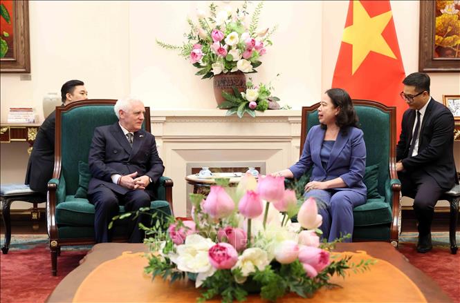 Phó Chủ tịch nước Võ Thị Ánh Xuân tiếp Đại sứ Argentina Marcos Antonio Bednarski đến chào từ biệt. Ảnh: An Đăng - TTXVN