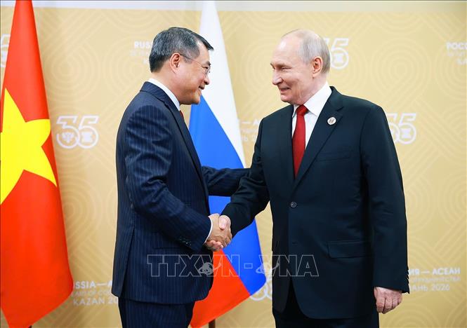 Thủ tướng Lê Minh Hưng hội kiến Tổng thống Nga Vladimir Putin. Ảnh: Dương Giang – TTXVN