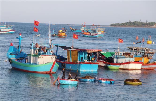 Vẻ đẹp bình yên ở làng chài Phước Thiện. Ảnh: Phạm Cường – TTXVN
