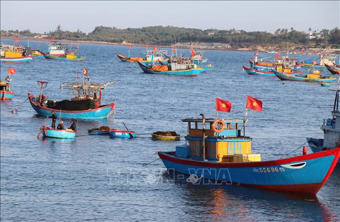 Những chiếc thuyền gỗ nằm nghỉ ngơi ven bờ sau chuyến ra khơi. Ảnh: Phạm Cường – TTXVN