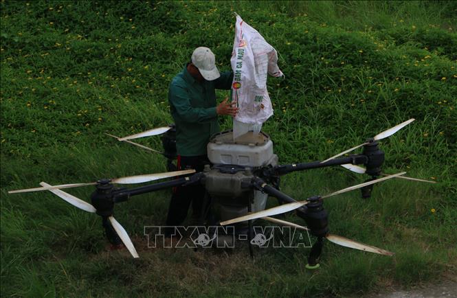 Nông dân sử dụng thiết bị bay để phun thuốc trừ sâu. Ảnh: Duy Khương – TTXVN