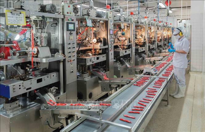 Dây chuyền sản xuất xúc xích tiệt trùng VISSAN ứng dụng công nghệ hiện đại, tự động hóa toàn bộ quy trình, đảm bảo lưu giữ trọn vẹn hương vị, giá trị dinh dưỡng và đáp ứng các tiêu chuẩn an toàn khắt khe. Ảnh: Phan Phương – TTXVN