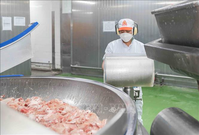 Nhân viên VISSAN vận hành máy 