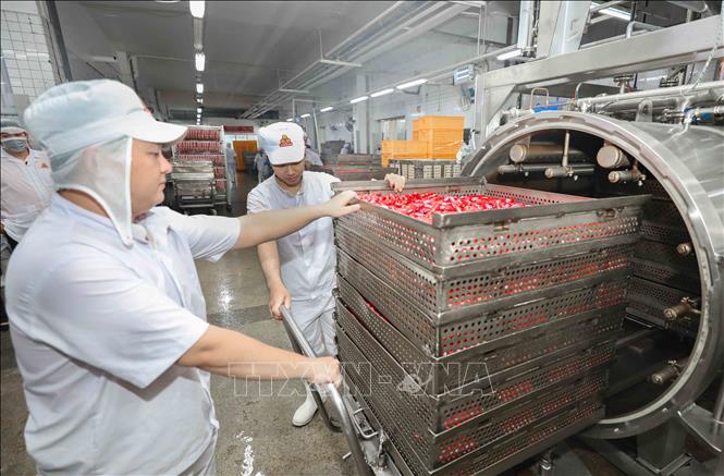 Nhân viên VISSAN di chuyển các khay xúc xích vào lò tiệt trùng, đảm bảo quy trình xử lý nhiệt chuẩn xác, an toàn và giữ trọn hương vị. Ảnh: Phan Phương – TTXVN