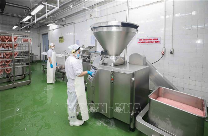 Nhân viên vận hành máy nhồi và treo tự động, sản xuất các loại thịt nguội theo công nghệ hiện đại từ Pháp, giúp tối ưu hóa quy trình chế biến và đảm bảo chất lượng sản phẩm đồng nhất. Ảnh: Phan Phương – TTXVN