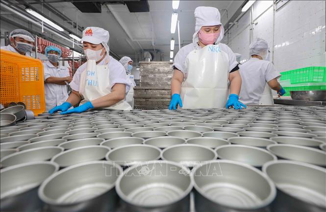 Các công đoạn được thực hiện trên dây chuyền, đảm bảo độ chính xác cao. Ảnh: Phan Phương – TTXVN