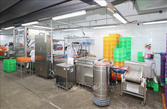 Dây chuyền đóng gói xúc xích, thịt nguội sử dụng công nghệ hiện đại từ Pháp với cánh tay robot tự động, giúp tối ưu hóa năng suất và đảm bảo tiêu chuẩn vệ sinh nghiêm ngặt. Ảnh: Phan Phương – TTXVN