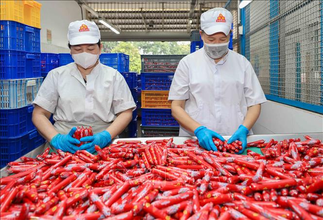 Công ty Cổ phần Việt Nam kỹ nghệ súc sản (VISSAN) là một trong những thương hiệu hàng đầu trong ngành công nghiệp thực phẩm tại Việt Nam, nổi bật với các sản phẩm thịt tươi sống và thực phẩm chế biến. Ảnh: Phan Phương – TTXVN