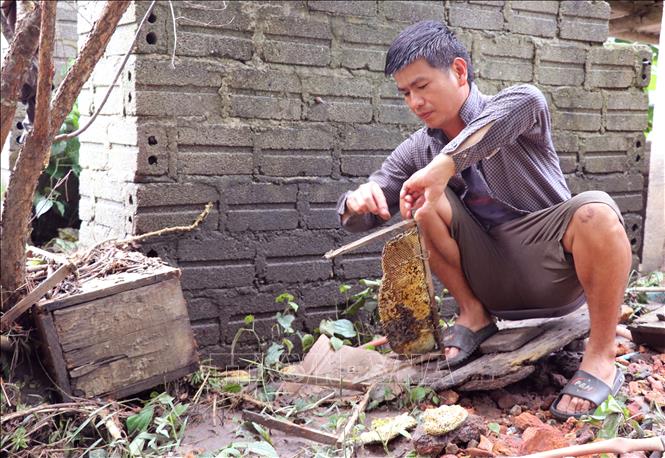 Người dân tranh thủ dọn dẹp để sớm khôi phục sinh hoạt. Ảnh: Đức Thọ - TTXVN