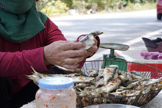 Nghề nướng cá trích không chỉ giúp tạo công ăn việc làm, thu nhập cho bà con vùng biển mà còn góp phần quảng bá đặc sản quê hương. Ảnh: Thanh Thuỷ-TTXVN                                                              