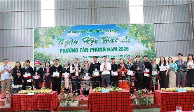 Ban tổ chức trao giải cho các bản tham gia hội thi hái lê. Ảnh: Quý Trung - TTXVN
