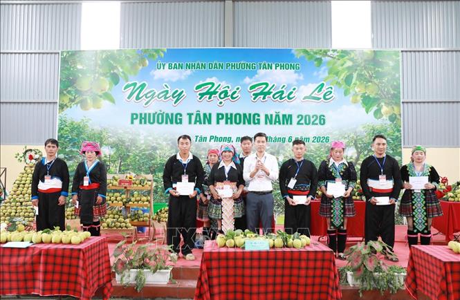 Ban tổ chức trao giải cho các bản tham gia hội thi hái lê. Ảnh: Quý Trung - TTXVN