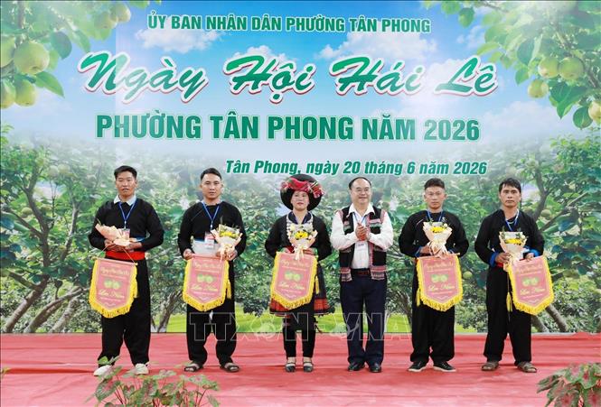 Bí thư Đảng ủy phường Tân Phong Mùa A Trừ trao cờ lưu niệm cho các bản tham gia Ngày hội hái lê. Ảnh: Quý Trung – TTXVN