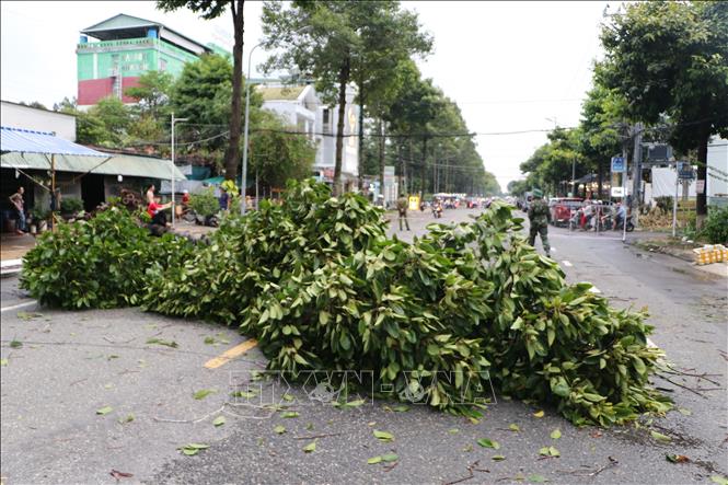 Cây xanh ngã đổ chắn ngang một đoạn đường Đặng Văn Bình. Ảnh: Hồng Thái - TTXVN