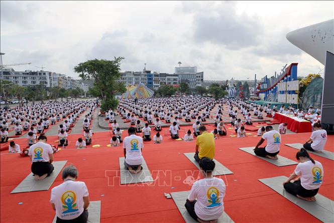 Các Yogi tham gia đồng diễn tại Ngày Quốc tế Yoga tổ chức tại Quảng Ninh. Ảnh: Đức Hiếu - TTXVN