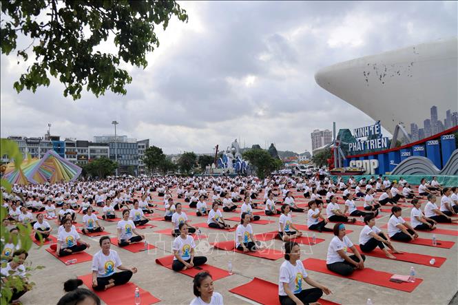 Các Yogi tham gia đồng diễn tại Ngày Quốc tế Yoga tổ chức tại Quảng Ninh. Ảnh: Đức Hiếu - TTXVN