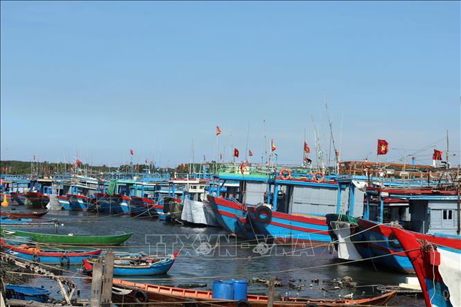 Khu neo đậu tàu cá An Hòa đang được nâng cấp, mở rộng với diện tích rộng 140ha, đảm bảo chỗ neo đậu cho 1.200 tàu cá. Ảnh: Đỗ Trưởng - TTXVN