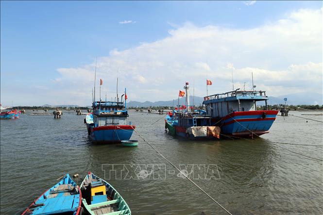 Khu neo đậu tàu cá An Hòa đang được nâng cấp, mở rộng với diện tích rộng 140ha, đảm bảo chỗ neo đậu cho 1.200 tàu cá. Ảnh: Đỗ Trưởng - TTXVN
