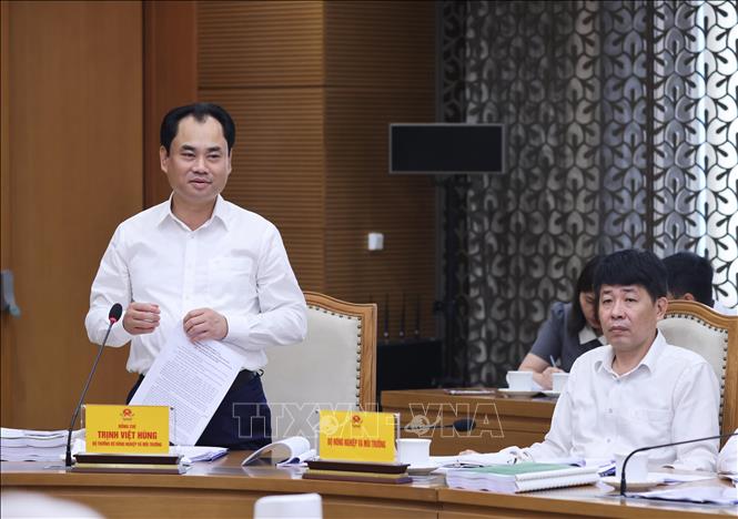 Bộ trưởng Bộ Tài nguyên và Môi trường Trịnh Việt Hùng, Phó Chủ tịch Hội đồng thẩm định điều chỉnh Quy hoạch sử dụng đất quốc gia phát biểu. Ảnh: Lâm Khánh - TTXVN