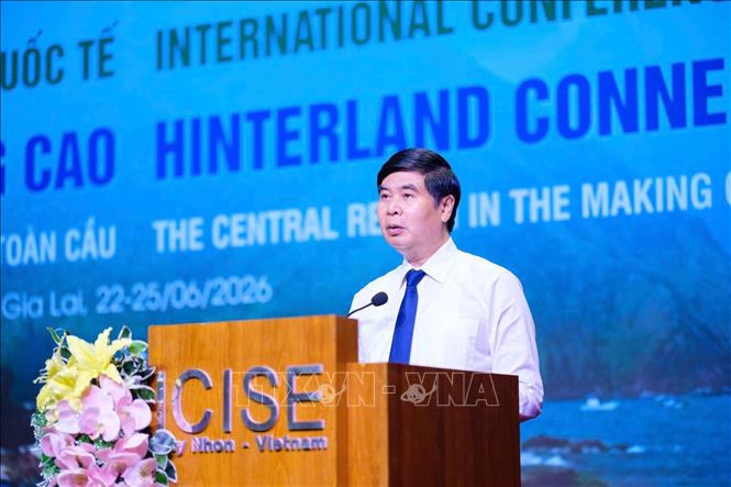 Phó Chủ tịch UBND tỉnh Gia Lai, ông Lâm Hải Giang phát biểu tại Hội thảo. Ảnh: Sỹ Thắng - TTXVN