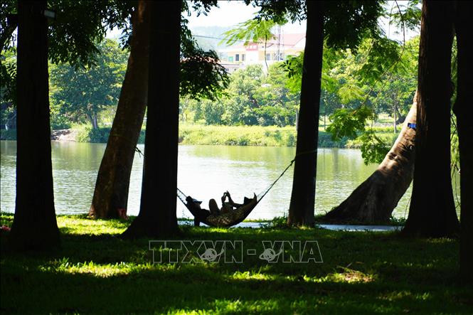 Để tránh nắng nóng gay gắt, người dân mắc võng dưới bóng mát ở Công viên bờ Bắc sông Hương, thành phố Huế để nghỉ ngơi. Ảnh: Nguyên Lý - TTXVN