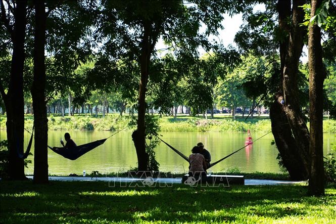 Để tránh nắng nóng gay gắt, người dân mắc võng dưới bóng mát ở Công viên bờ Bắc sông Hương, thành phố Huế để nghỉ ngơi. Ảnh: Nguyên Lý - TTXVN