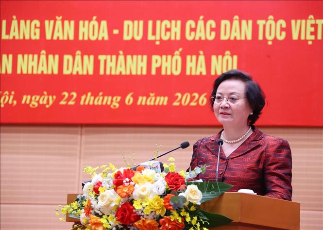 Phó Thủ tướng Chính phủ Phạm Thị Thanh Trà phát biểu. Ảnh: Văn Điệp – TTXVN