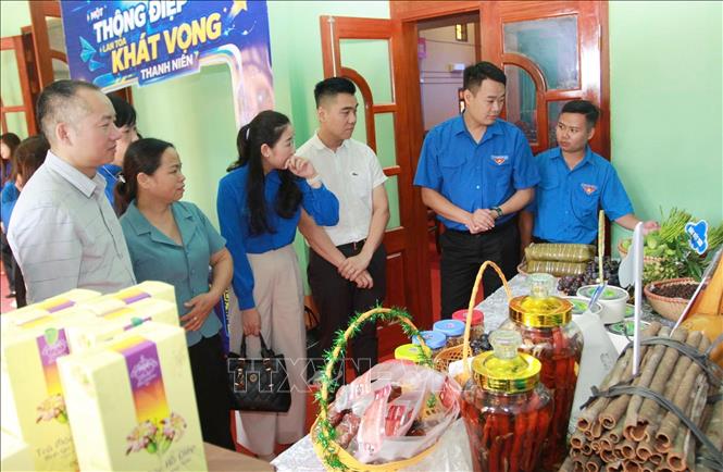 Các sản phẩm khởi nghiệp của thanh niên trưng bày tại Hội nghị. Ảnh: TTXVN phát