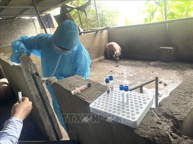 Cơ quan chức năng lấy mẫu giám định. Ảnh: Nguyễn Nam -TTXVN
