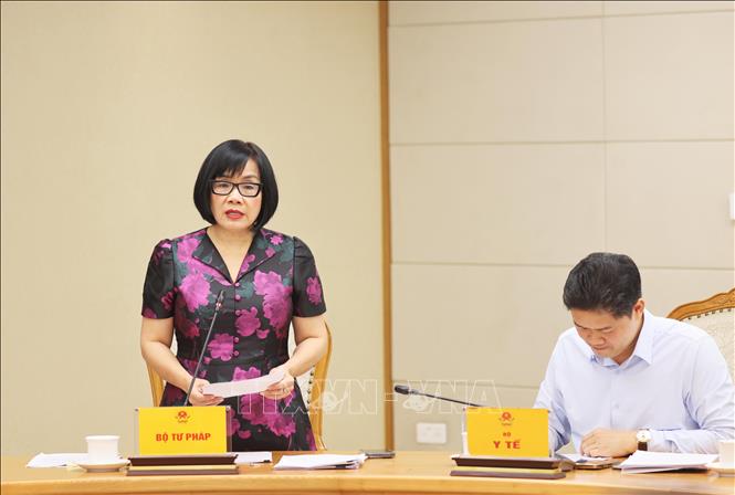 Thứ trưởng Bộ Tư pháp Đặng Hoàng Oanh trình bày Đề án thí điểm thực hiện đánh giá, chấm điểm (KPI) về công tác xây dựng pháp luật. Ảnh: Lâm Khánh - TTXVN