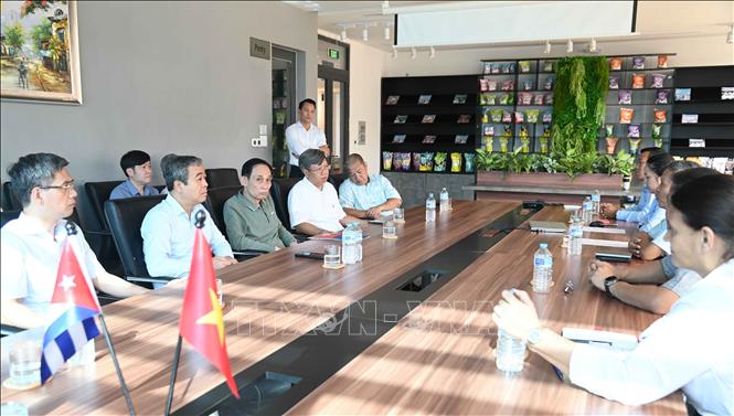 Bộ trưởng Lê Hoài Trung và đoàn công tác thăm và làm việc với Ban Giám đốc công ty Thái Bình đang hoạt động tại Đặc khu phát triển Mariel của Cuba. Ảnh: Việt Hùng - PV TTXVN tại Cuba
